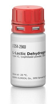 L-Lactic Dehydrogenase 2.5KU L-Lactic Dehydrogenase 2.5KU